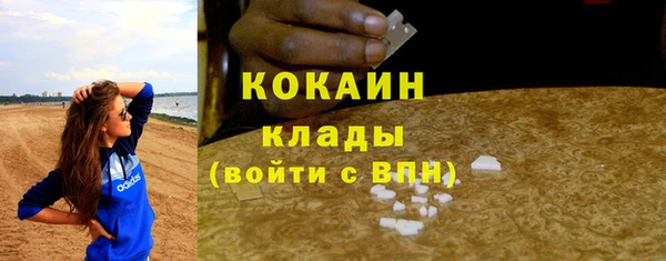 стафф Вязьма