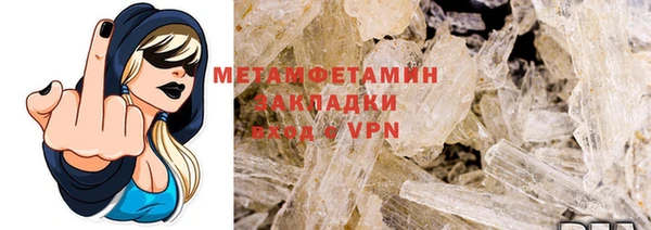 прущие грибы Бронницы