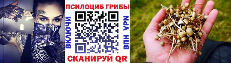Галлюциногенные грибы Cubensis  MEGA зеркало  Ирбит  что такое наркотик 